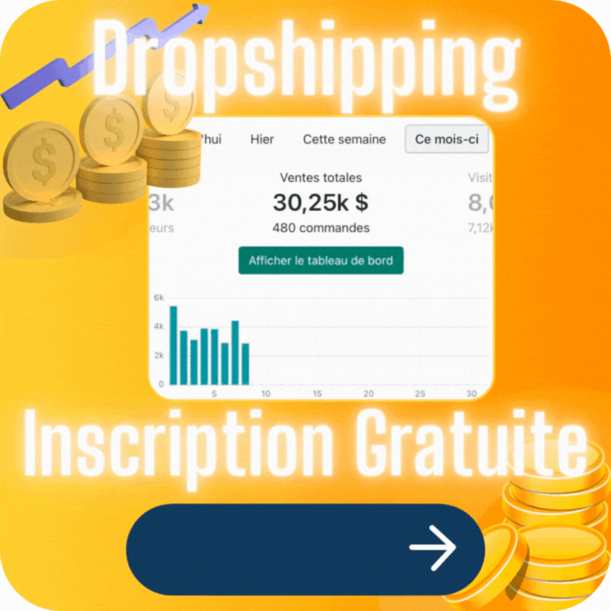 Formation Dropshipping gratuite